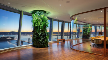 Living Wall Walking Tour